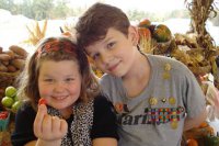 ​龙凤胎小名洋气 起名免费网有气质的名字