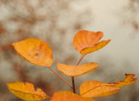 ​qq群名字大全2023最新版的、她拥有我没看过的笑容