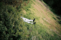 ​二个字的情侣名 天工&mdash;&