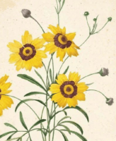 ​男生简单朴素的网名