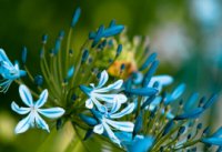 ​炫舞女生网名 放屁帶點汁