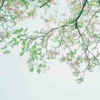 ​描写孩子长大的句子（孩子成长点滴感言）