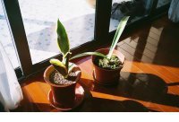 ​一晃就老了的短语 80后的心酸语录