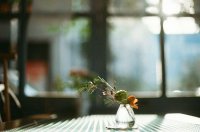 ​萌到爆的网名 我是西瓜我怕谁！