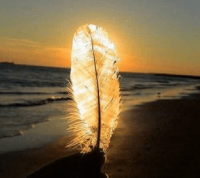 ​高雅的带苏字的网名