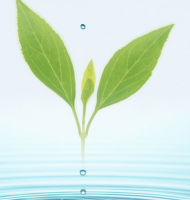 ​一个人的孤独网名男生_橖冰