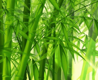 ​高大上的网名女