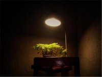 ​给女友早安的暖心句子 早安调皮句子早安情话(32句)