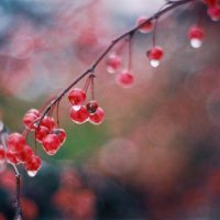 ​结婚七周年纪念日感言至老公