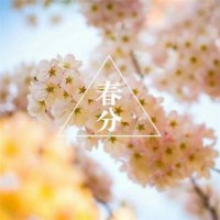 ​暖心的短句8个字（最朴实最暖心的情话）