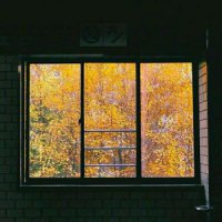 ​经典语段及心灵感悟（感悟人生的经典句子）