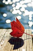 ​超酷有个性的男生网名_皷起勇氣説拜拜