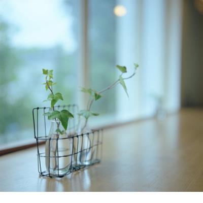 七夕浪漫不烂俗文案