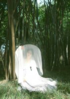 ​让人心碎的句子配图