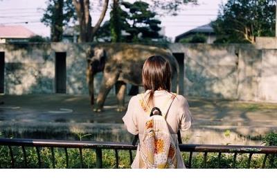 描写女人内心强大的句子