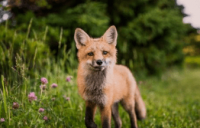 ​诛仙网名大全