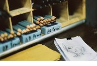 ​一句话结婚纪念日感言（适合结婚周年发的句子）