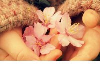 ​教育人要看清现实的句子 人心太可怕的说说