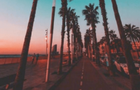 ​lol锤石网名、╭ァ下①站，幸福り