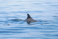 ​qq网名女生社会人_一颗心゛七秒情