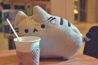 ​结婚二十四周年感言 结婚24周年感悟