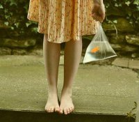 ​回忆感慨青春的句子 翻看照片的回忆的句子(20条)