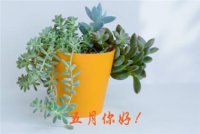 ​2023心愿简短句子