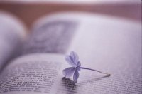 ​治愈心灵的一句话情感句子