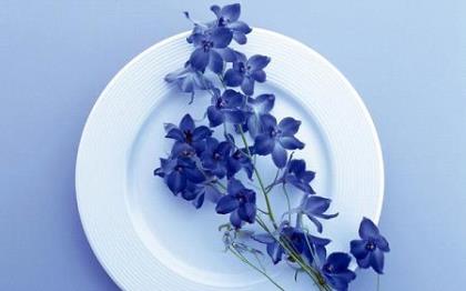 对家人失望心寒的句子