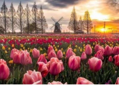 对感情失望心寒的句子