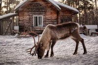 ​感动男人落泪的话40句 坚强而又心酸的句子 能让男人瞬间