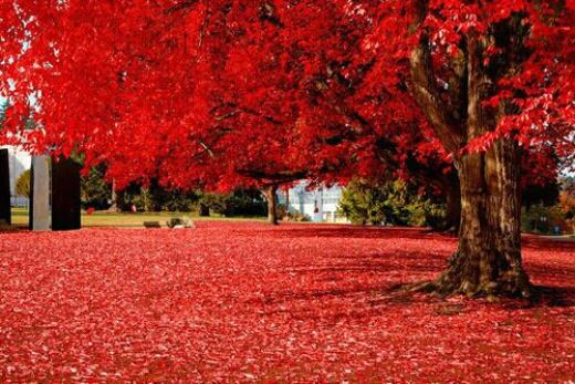 形容内心孤独的句子