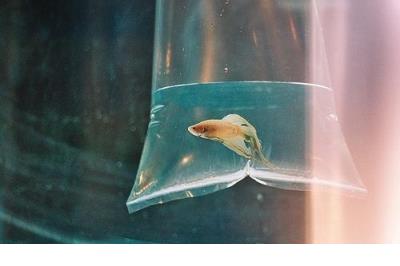 形容内心快要崩溃的句子