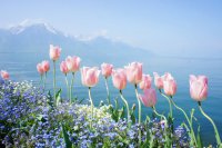 ​带晓字的优美成语网名