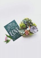 ​情话最暖心短句文艺六个字[30条] (文艺情话短句小清新)