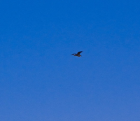 ​中性网名简单气质 迟穆