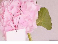 ​莫名其妙的烦躁的说说(心烦意燥的说说)