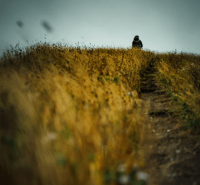 ​网名备注、你若不离，我亦不弃