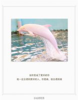 ​扣扣空间女生个性说说(而是那些一次一次的小失望…)