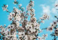 ​绝地求生双排名字、氵三生三世