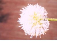 ​小说里那些触动人心的句子 一句触动心灵的句子