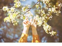 ​崩溃绝望句子,心凉的句子