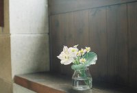 ​失望到闭口不言的句子 女人心寒的最高境界