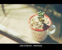 ​心里好压抑好累好想哭 受委屈无处表达的句子