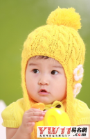 ​名字字义分析