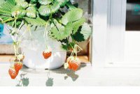 ​心里不舒服的说说（心里）