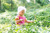 ​姓程带胤字吉祥名字