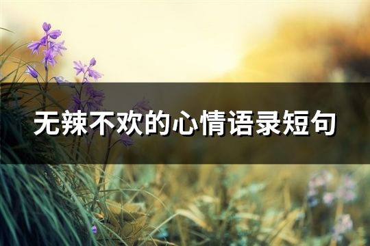 无辣不欢的心情语录短句(精选63句) 无辣不欢的心情语录短句(精选63句)