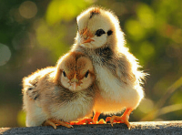 ​微视好听的名字