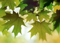 ​空间名称英文